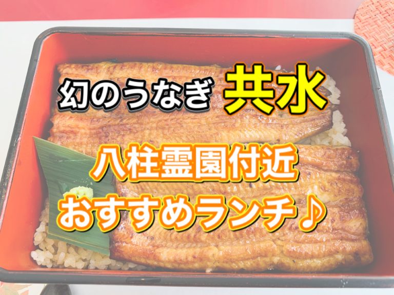 八柱霊園の近くでおしゃれなランチ うなぎ割烹 にし村のレビュー 腹ペコまっくす