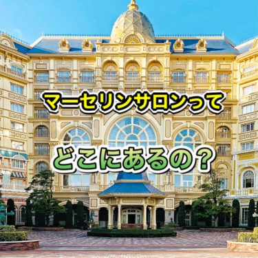 ディズニーポップコーン リフィルで必要なものは ジップロックを持参しよう 腹ペコまっくす