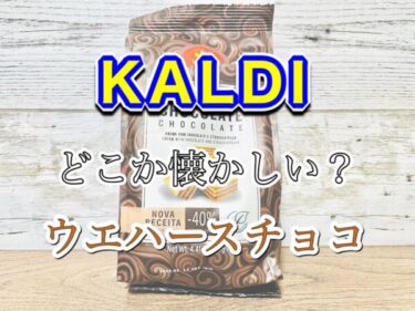 ディズニーポップコーン リフィルで必要なものは ジップロックを持参しよう 腹ペコまっくす