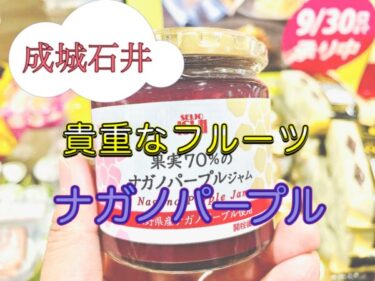 成城石井 あのカズチーがプレッツェルになって新登場 期待しすぎはダメ 腹ペコまっくす